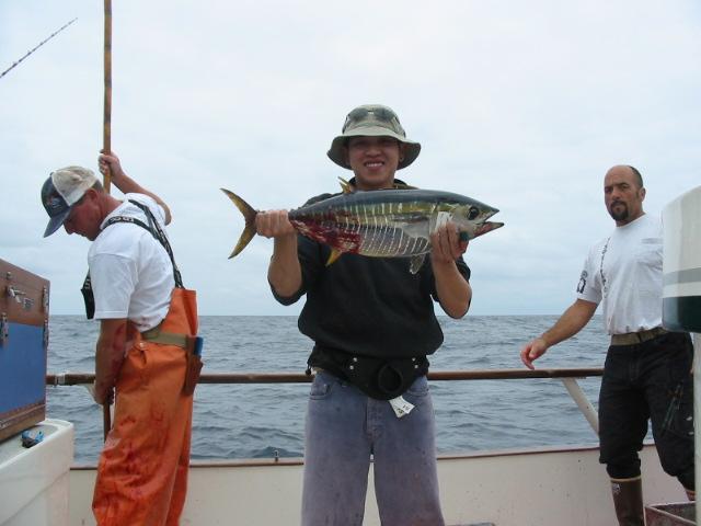 Yellowfin Tuna คับ  เสียดายตัวเล็กไปหน่อย  แต่ใช้สายๆเล็กๆตกสนุกน่ะคับ