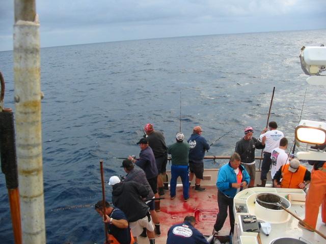 ปลาส่วนใหญ่เป็น Yellowfin Tuna, Yellowtail, มี Calico Bass นิดหน่อยเวลาจอดข้างเกาะ