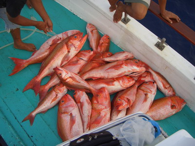 กองนี้สีแดง ๆ