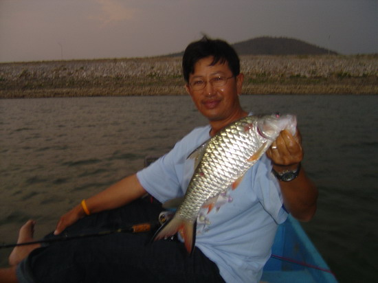 ......ตัวที่ 5..ของผม.... :smile: