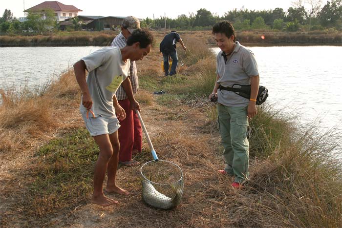  3กว่าครับตัวนี้  :laughing: :umh: :blush: