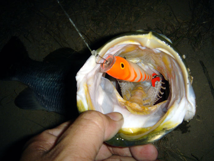  อ่ะ! ... ขอมาก็จัดให้ ...  :grin: ... ตอนนี้ยังอยู่ในช่องฟิตอยู่เลย ... คริ ๆ ๆ ๆ  :grin: