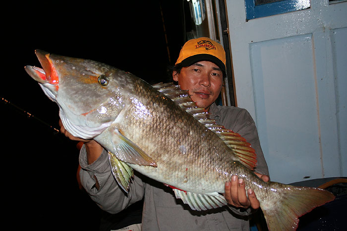 หัวเซี้ยมตัวใหญ่ :umh: