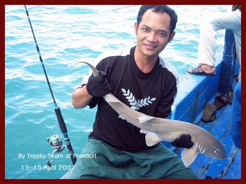 สักพัก คุณรักก็ฉุดเพชรฆาตหน้ากบขึ้นมานอนอาบแดดบนเรือ