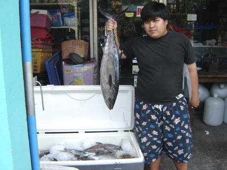 มีแต่แบบนี้...
น้าป้อบอก นี่เล็กแล้วนะ..
ด็อกทรูท ไซค์เด็กๆ.
ต้มยำได้กี่หม้อเนี่ย...
 :grin: :gr