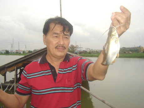 มานเป็นแบบนี้เองเรอะค๊าบ.....
ไอ้กง.....