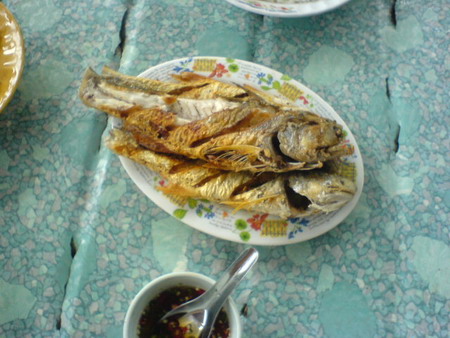 กับข้าวเจ้าของร้านทำให้ด้วยครับ ปลากุเลาทอด กุเลา3ตัวที่เหลือรอดจากพายุเมื่อคืนจากบ่อบุญรวม 
อร่อยส