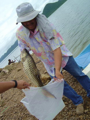         อ้าว.ว....ว.......เฮิ้ย.ย.....ย......ปลาตรูเว้ย.ย.....ย........ปลาตรู..............ขโมยจ้า..