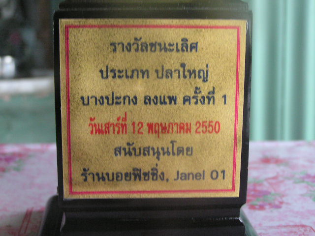 ถ้วยปลาใหญ่คับ น้าๆ