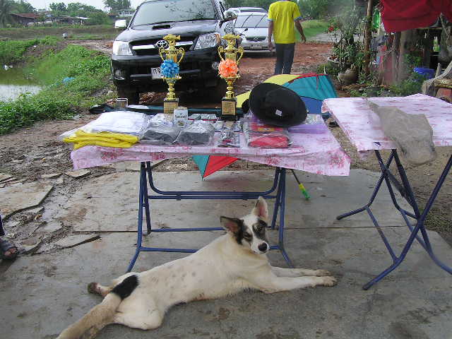 ถ้วยรางวัลและของแจกต่างๆในงานนี้คับ