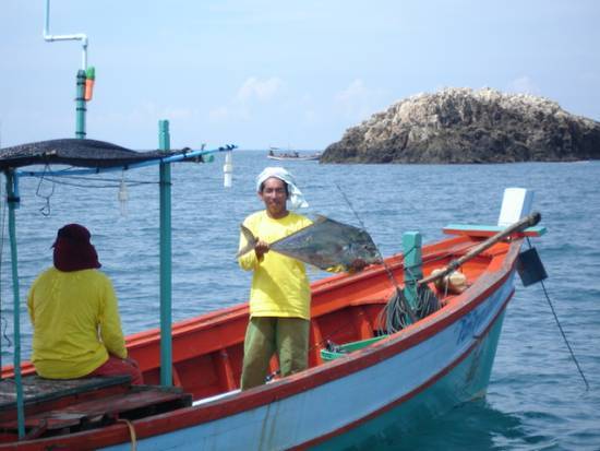  เรืออีกลำกับปลาที่ได้ในวันแรกครับ ปลาโฉมงามตัวนี้ไม่ได้รางวัลครับ ยังเล็กอยู่