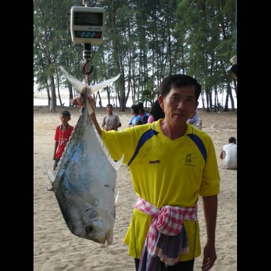    นักกีฬาทยอยนำปลามาขึ้นชั่งสะสมเกมส์ในวันแรกก่อนครับ 