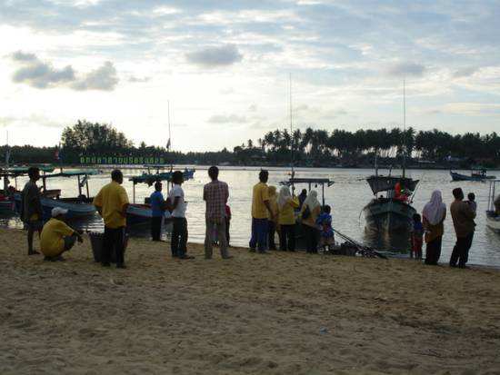   เรือทยอยเข้าฝั่งเพื่อนำปลามาชั่ง