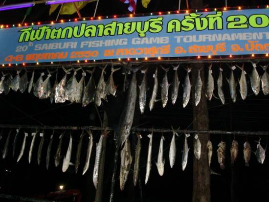    ปลาที่ขึ้นชั่งในวันแรกครับ