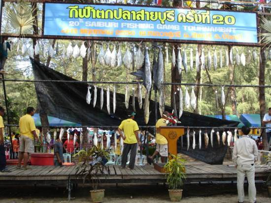    นำปลาที่ชั่งน้ำหนักแล้วขึ้นแขวนรวมกับปลาในวันแรก