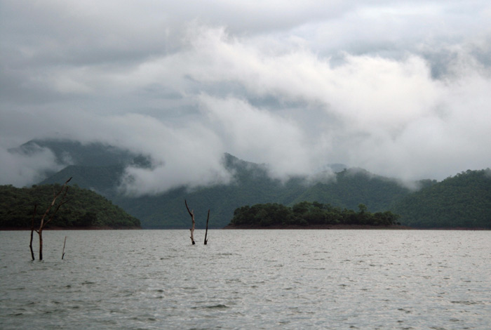 ฝนตกเกือบตลอดเวลาครับ.......ทำให้ทริปนี้ไม่ได้ภาพดีๆอย่างที่ตั้งใจไว้เลยครับ :cry: :cry: :cry: :cry: