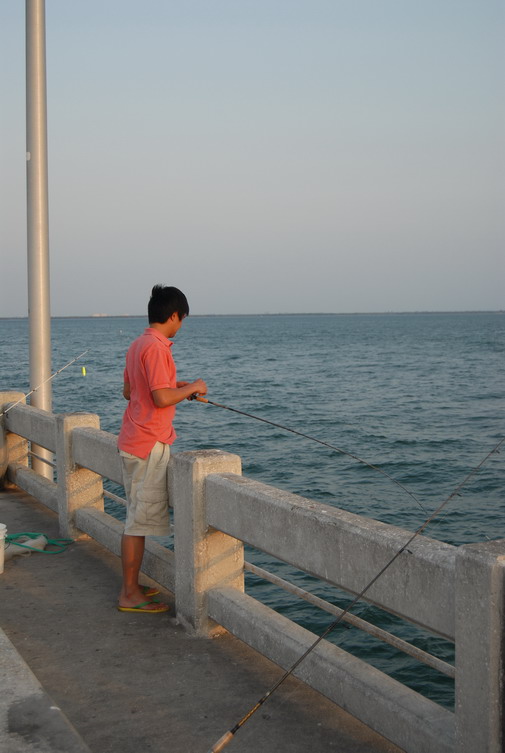พี่เป้ง : เฮ้ย...ติดแล้วๆ.. ผม : เยี่ยมเลยพี่... พี่เป้ง : เฮ้ย...ไม่ใช่วะ...เป็น Lady Fish  ผ