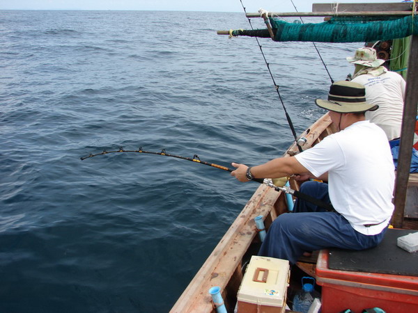 ปลาสากเจ้าถิ่นเริ่มรับแขกเป็นตัวแรก  ตกโดยการลากปลาหมึกตาย