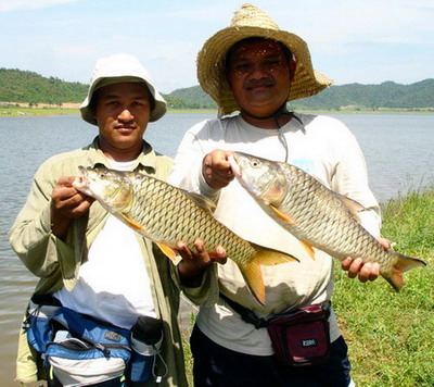 รุ่น2 กับรุ่น5 เทียบขนาดปลากันครับ
ผลคือรุ่น2 ขนาดใหญ่กว่าครับ มิอาจเทียบ มิอาจเทียบ :laughing: :la