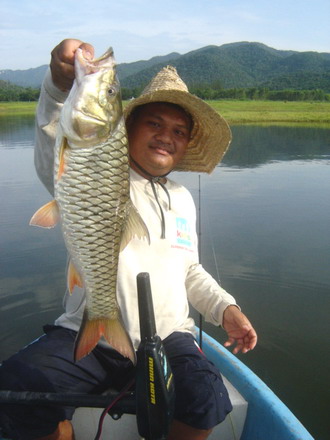 พอเห็นหมายสวยๆ แบบน้ำตื้น เรือเข้าไม่ได้...
ก้อลงไปเดินตีเหยื่อกัน....
หลังจากหลอก น้าต่าย เดินไปไ