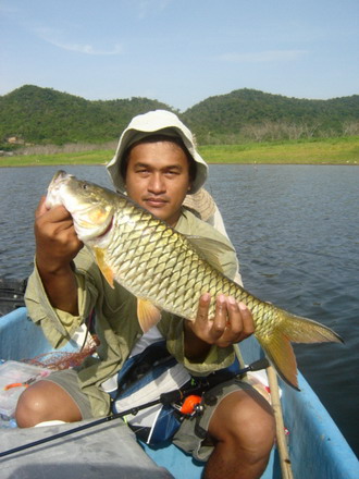 กระสูบโทน แอบอยู่ตามชายฝั่ง 
น้าต่าย เอาป๊อบเปอร์ เข้าไปละเลงน้ำ
ผ่านหู ผ่านตา ก้องับ ตูมมม เข้าให