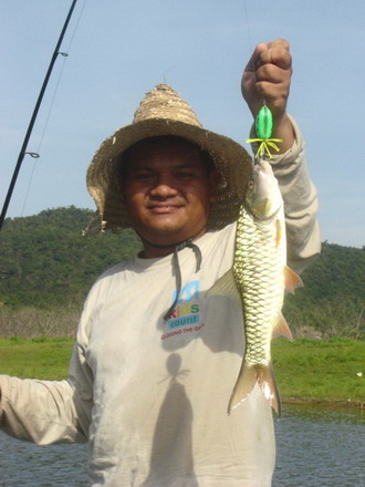 ไล่ๆ ล่องเรือ หวดกบ เข้าชายฝั่งไปเรื่อยๆ 
ก้อมีแบบนี้ มาติด  ดีจัง..
 :grin: :grin: :grin:
กระสูบ