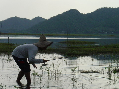 ...ที่อยากดูอะ..รูปนี้ป่าว........

...วิธีการเข้าหมายที่ถูกต้อง.............แบบโปร์....... :laugh