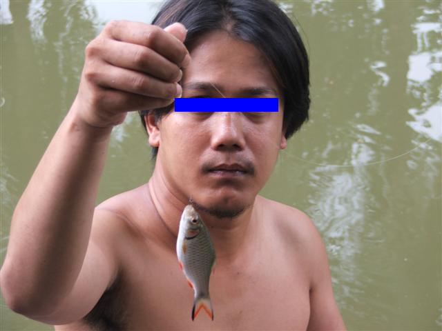 ตัวนี้ด้วยครับ