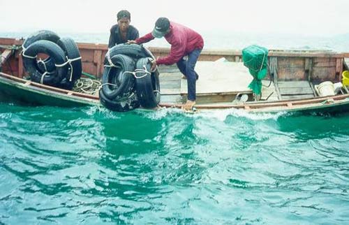 ภาพระยะใกล้แสดงวิธีการวางปะการังเทียมจากเรือเล็กของชาวประมง 