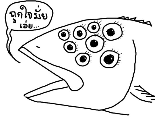 ฟุ้ง(ซ่าน)สุดท้าย
ได้ยินมาว่า นักวิทยาศาสตร์ของญี่ปุ่นวิจัยพบว่า ของเหลวในลูกตาของปลาทูน่ามีประโยช