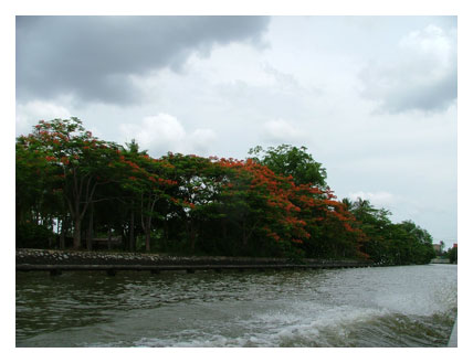 ฝนฟ้าดูครึ้ม ๆ ซะจริง ๆ บ้านเรือนตลอดเส้นทาง
จะมีเรือนไทยทรงต่าง ๆ ทั้งเรือนปั้นหยา เฮือนทางเหนือ
