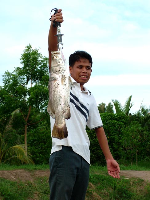      ...บ๊าย บาย..ปลาช่อนชุมพร...มาซับน้ำตา หาพื้นที่ทำนาแห้วต่อที่สุราษฎร์ฯครับ...

     ... อ้าว