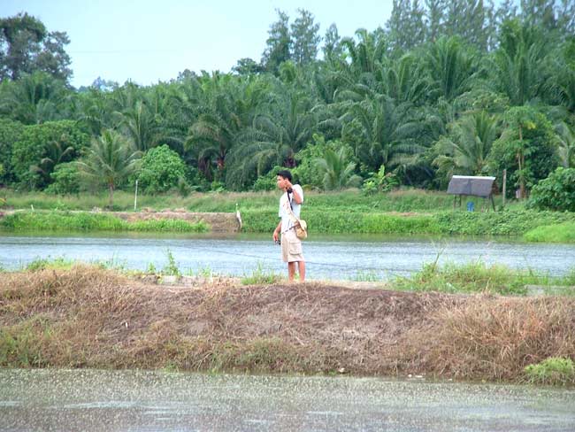      ...เป็นไปอย่างที่คิดครับ...น้าโพตีไปเรื่อยๆ..เสียงปลาช่อนกัดเหยื่อเสียงดังจนได้ยินมาถึงฟากผมเลย