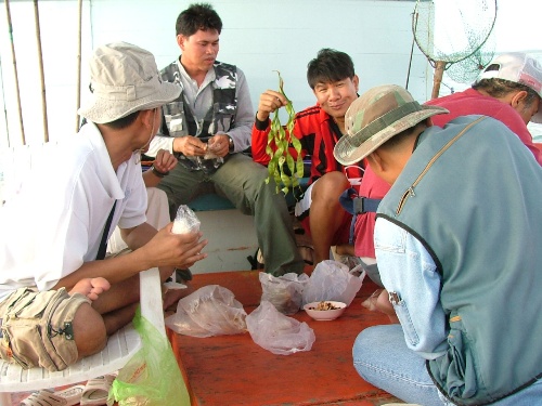 สะตอไหมครับ