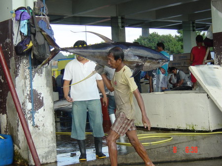 รูปนี้แหละครับสัญลักษณ์ของเมือง General Santos