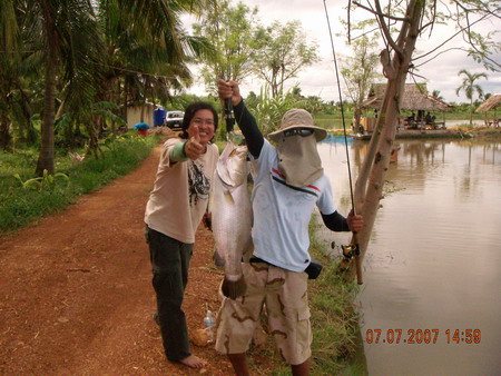  [q]มารอดูรูปแก๊งปลาแปลกค๊าบบบบ   [/q] 

   