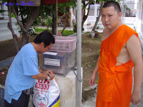 เพ่ติ่ง จัดการเปิดปากถุง
หลวงพี่ ให้กำลังใจ