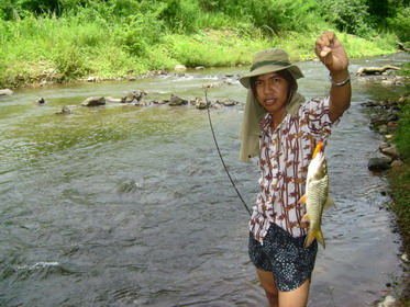 เหนือขึ้นไปด้านบน นิดเดียว ตรงน้ำไหลโกรก ๆ นั่นแหล่ะ...
น้าโน๊ต ก้อไปตีป๊อบเปอร์ ซัดกระสูบมาอีก 1ตั