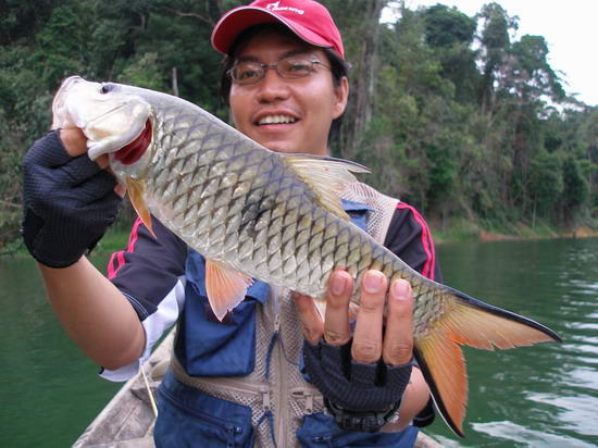 ผมออกมาทางด้านนอก ขับเรือหาปลาจิบไปเรื่อย แต่ไม่เป็นผล

เปลี่ยนแผนไปดักตีที่ปากหุบดีกว่า กินใกล้เร