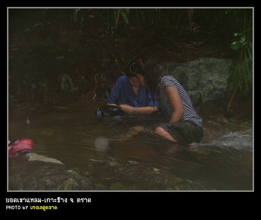 สาว....หาเห็บกินเล่นกันใหญ่ 
ว่าแล้วก