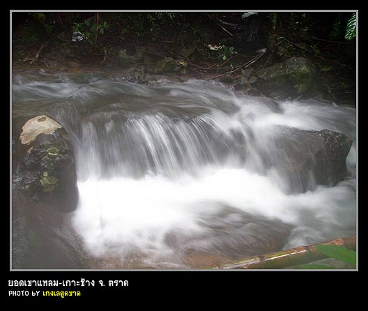 สายน้ำไหลเย็นเห็นตัวอะมีบา 