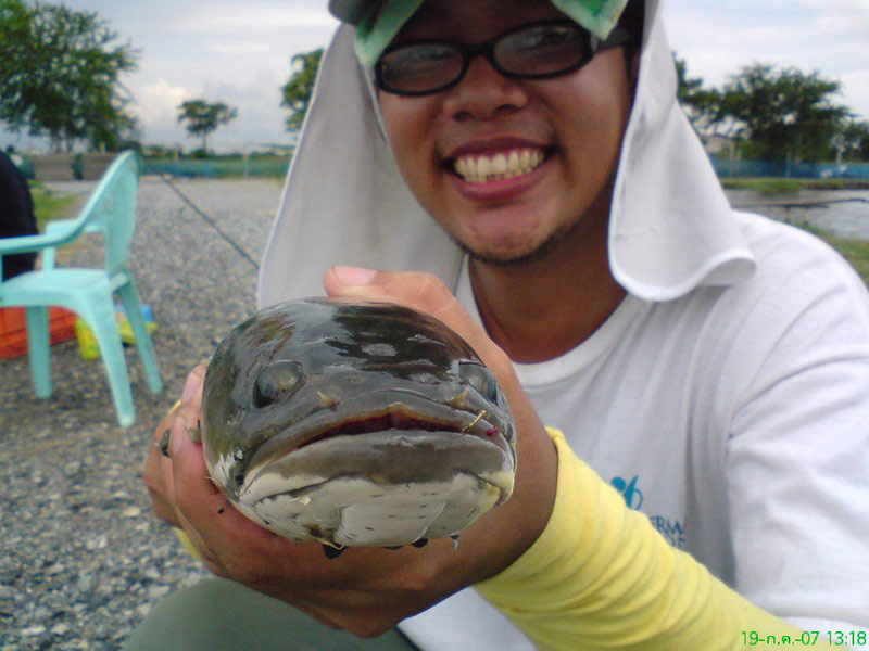 ดูสีหน้าของคนได้ปลาก่อนเพื่อนครับ  :ohh: :ohh:
สีหน้า เย้าะเย้ย ถ่ากถาง ยิ้มแสร้ง ครับ :laughing: :