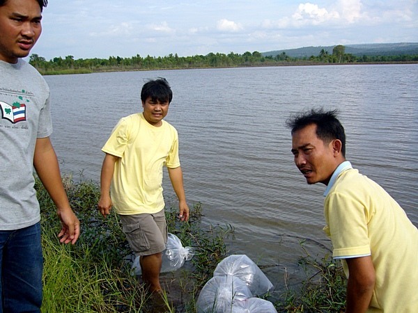 ประธานชมรม