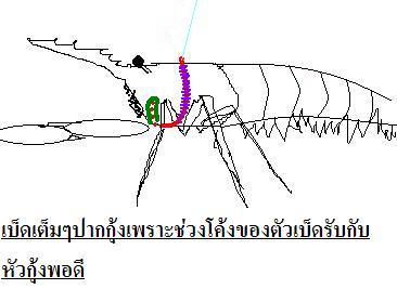 ผมวาดรูปตามที่เข้าใจนะครับไม่แน่ใจว่าหมายที่คุณA little fish อธิบายนั้นเป็นแบบนี้รึปล่าวแต่ถ้าใช่ก็เ