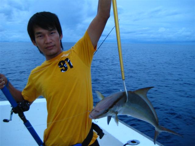 ตัวที่ 2 เปน amber jack