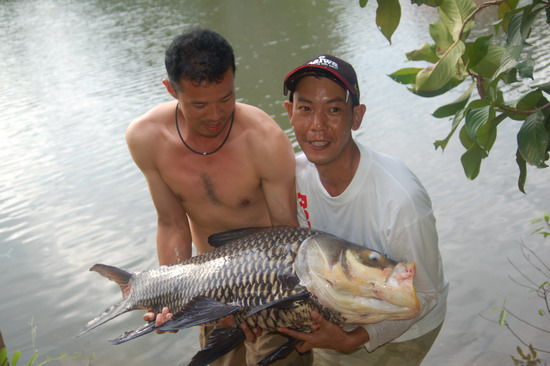 หลังจากลงเรือตามไปพักใหญ่ครับก็ต้องช่วยกันอุ้มเจ้าตัวนี้ขึ้นมาจากน้ำครับสังเกตุหน้าพี่ๆเค้าครับ :lau