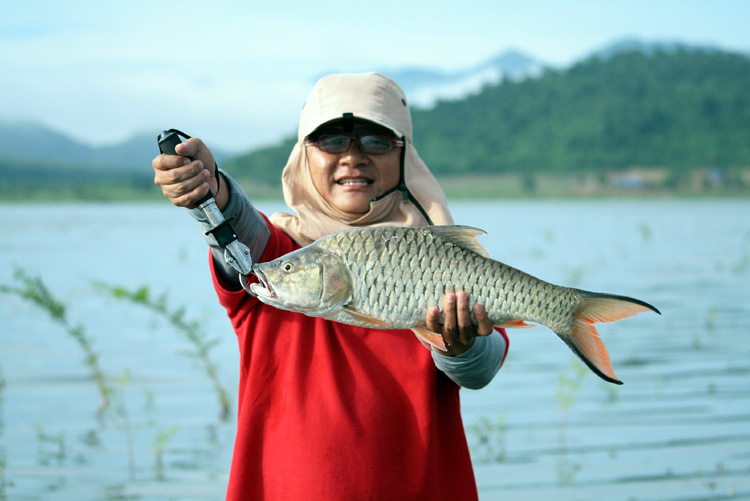 วัดน้ำหนักจากGripper ได้ 7 ปอนด์ หาร2.2  ได้น้ำหนักประมาณ 3 โลฟ่าๆ :love: :love: :love: :love: :love