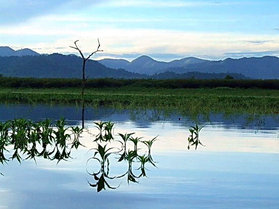 เอารูปสถานที่แข่งขัน.......แม๊ตซ์ การกุศล ปราณบุรีคัพ......

 [b]***ทอตแน่ม อ๊อดสเปอร์ พบ บาเซโลมา