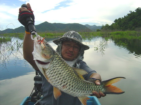 กระสูบไซร์ 3 โลอัพ ตัวนี้.....
ยังมีรอเ