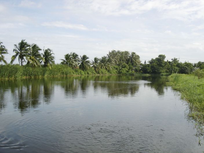ด้านท้ายของบ่อ ยังรกๆอยู่เหมือนเคย